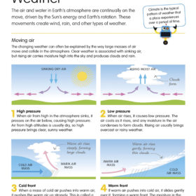 How to Be Good at Science p306