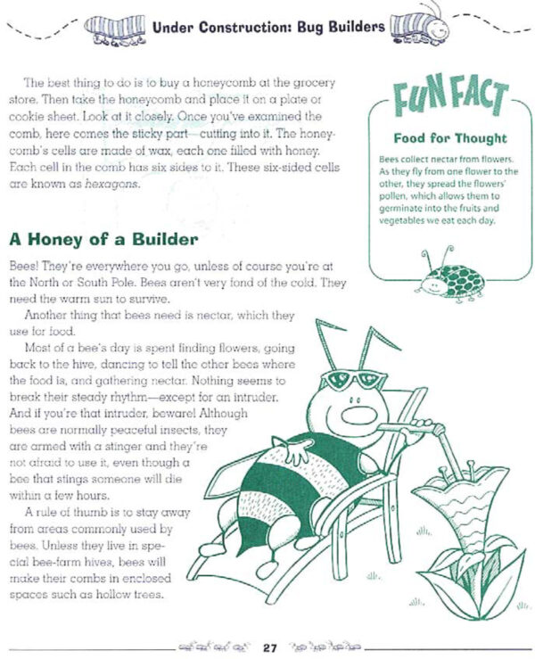 The Everything Kids Bugs Book - Image 2