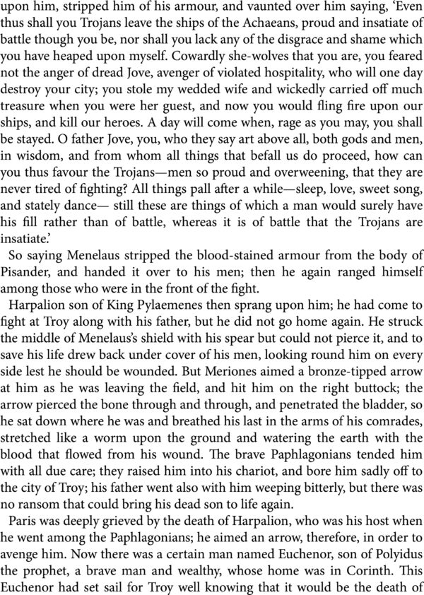 The Iliad - Image 3